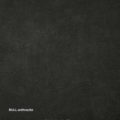 Leder Bull C