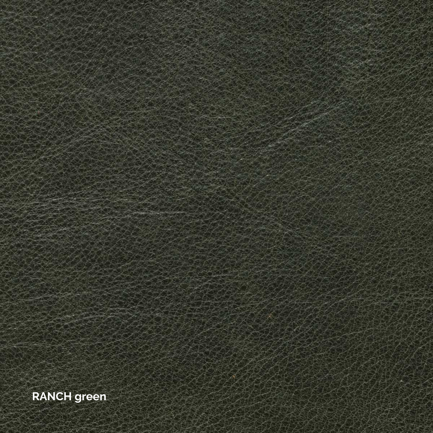 Ohio Stuhl - ohne Armlehne - Leder Ranch Green